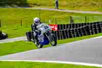 Vintage-motorcycle-club;eventdigitalimages;mallory-park;mallory-park-trackday-photographs;no-limits-trackdays;peter-wileman-photography;trackday-digital-images;trackday-photos;vmcc-festival-1000-bikes-photographs